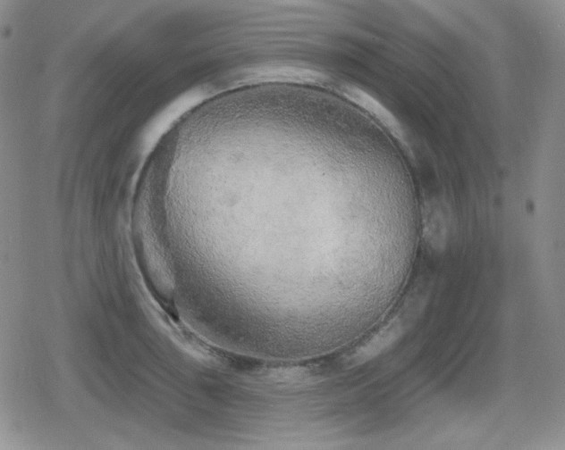X0000080741043200612151244