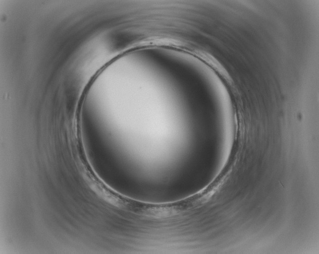 X0000080741044200612151244
