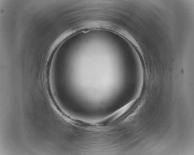 X0000080741045200612151244