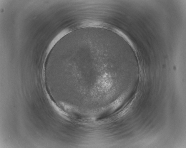 X0000080741050200612151244