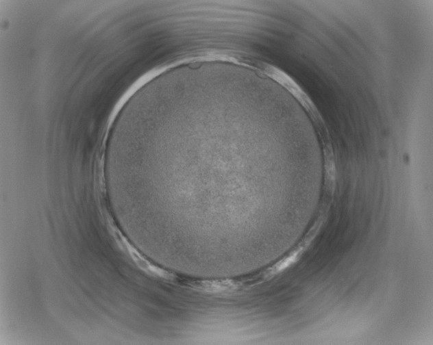 X0000080741052200612151244