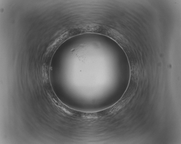 X0000080741058200612151244