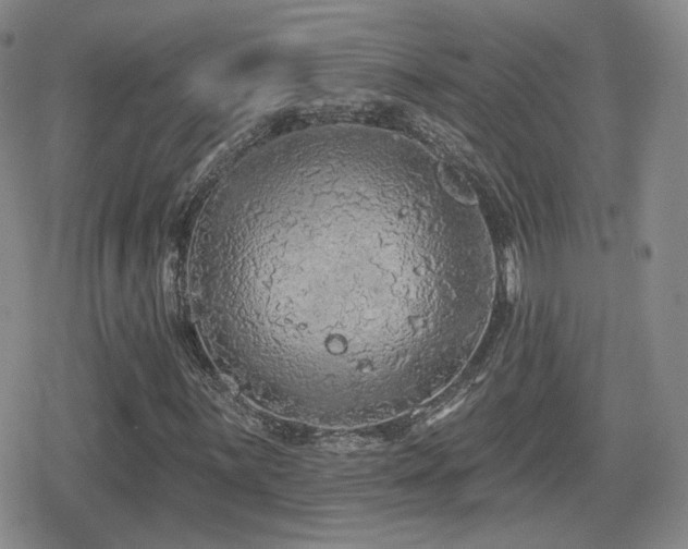 X0000080741059200612151244