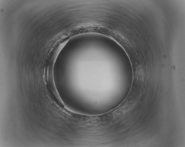 X0000080741062200612151244
