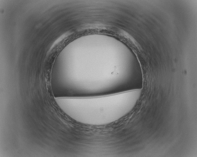 X0000080741064200612151244