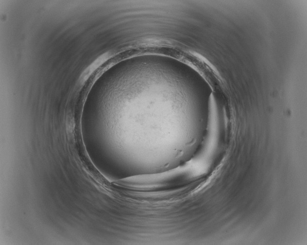 X0000080741065200612151244