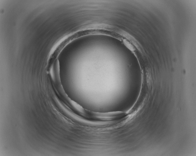 X0000080741069200612151243