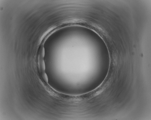 X0000080741073200612151243