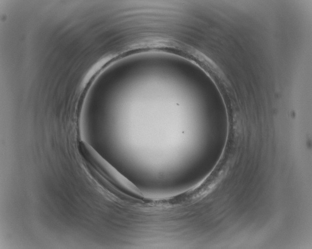 X0000080741081200612151243