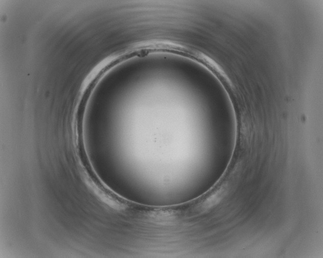 X0000080741082200612151243