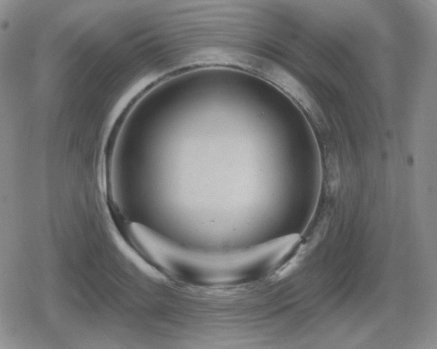X0000080741084200612151243