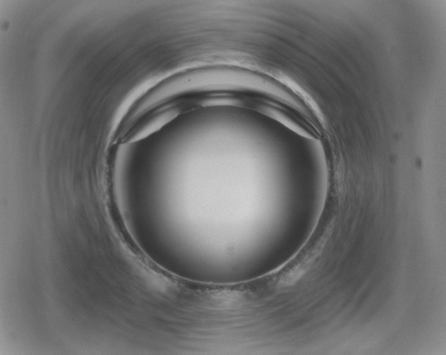 X0000080741085200612151243