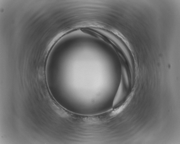 X0000080741089200612151243