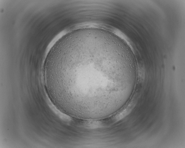 X0000080741090200612151243