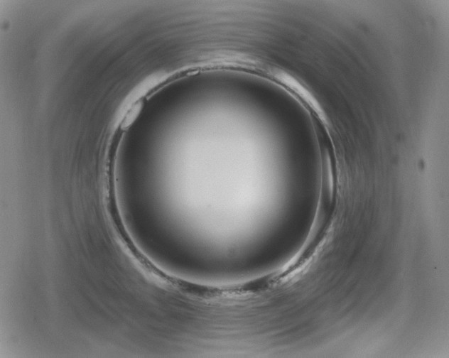 X0000080741093200612151243