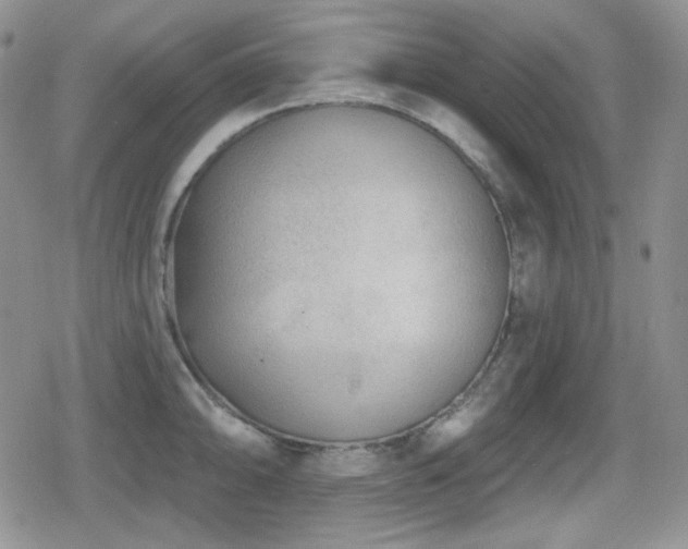X0000080741094200612151243