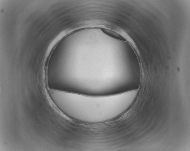 X0000080741096200612151243