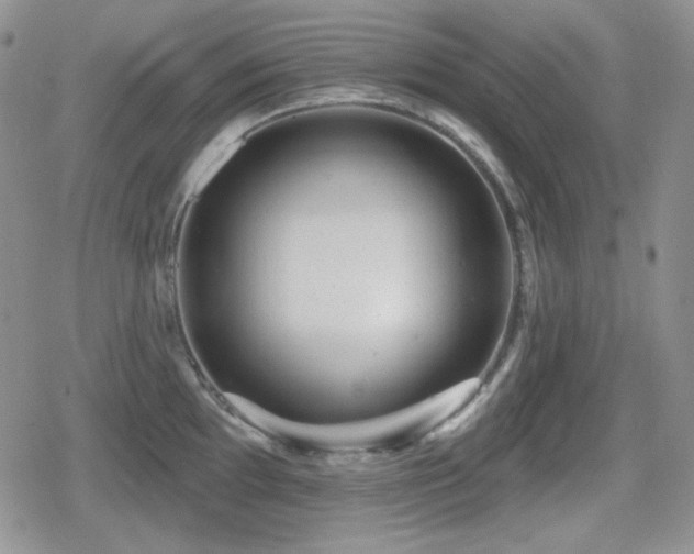 X0000080741097200612151243
