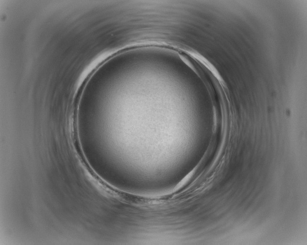 X0000080741101200612151243
