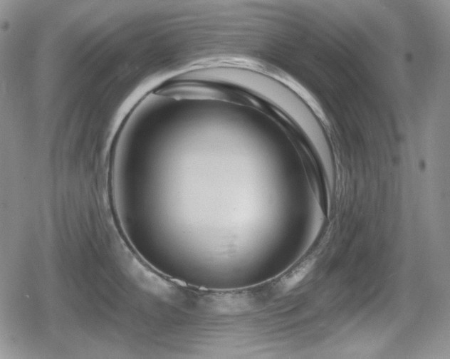 X0000080741102200612151243