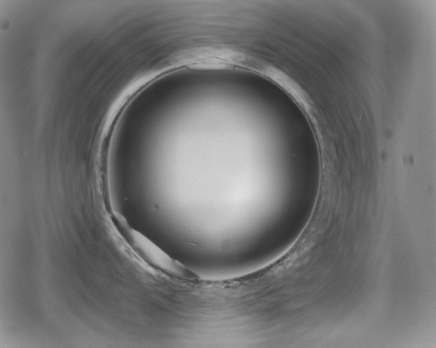 X0000080741104200612151243