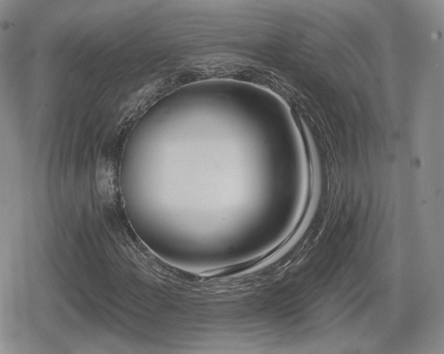 X0000080741108200612151242
