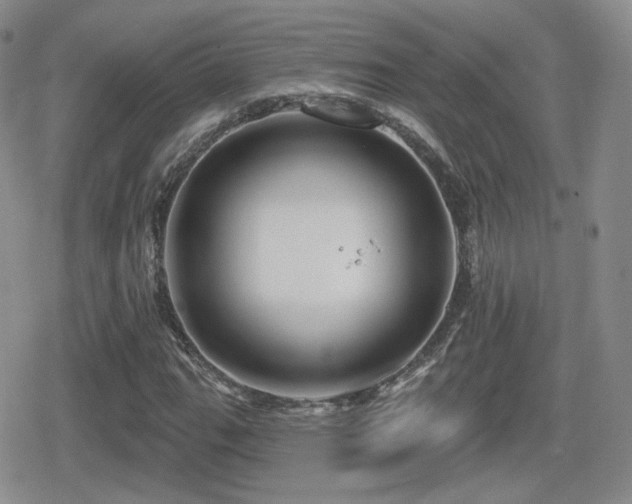 X0000080741111200612151242