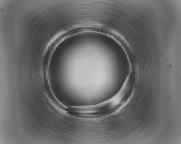 X0000080741114200612151242
