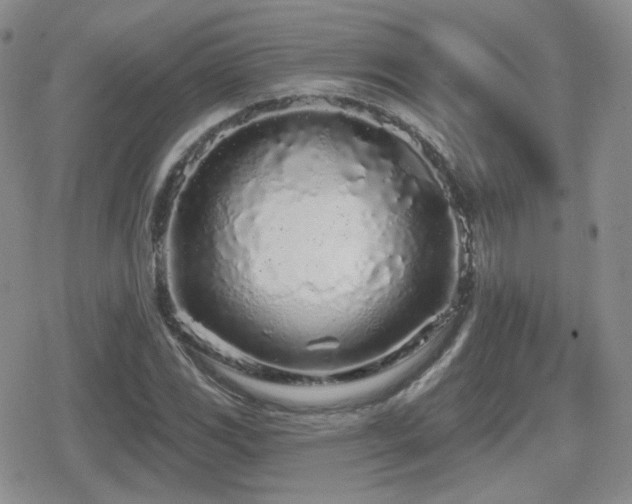 X0000080741117200612151242
