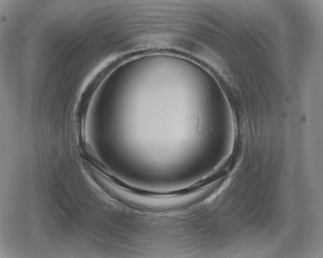 X0000080741118200612151242