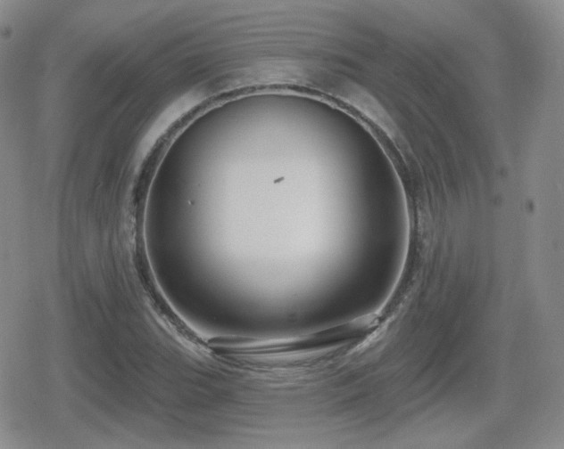 X0000080741119200612151242