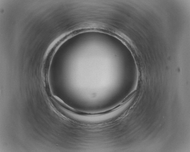 X0000080741120200612151242