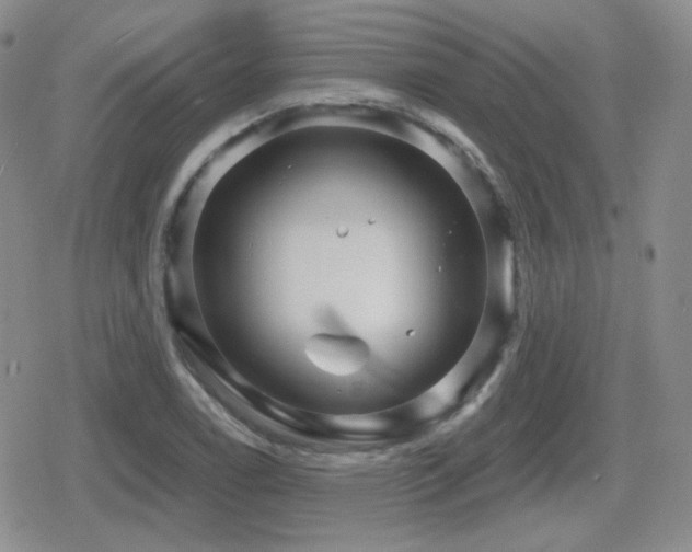 X0000080741122200612151242