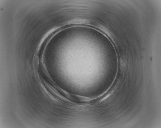 X0000080741123200612151242
