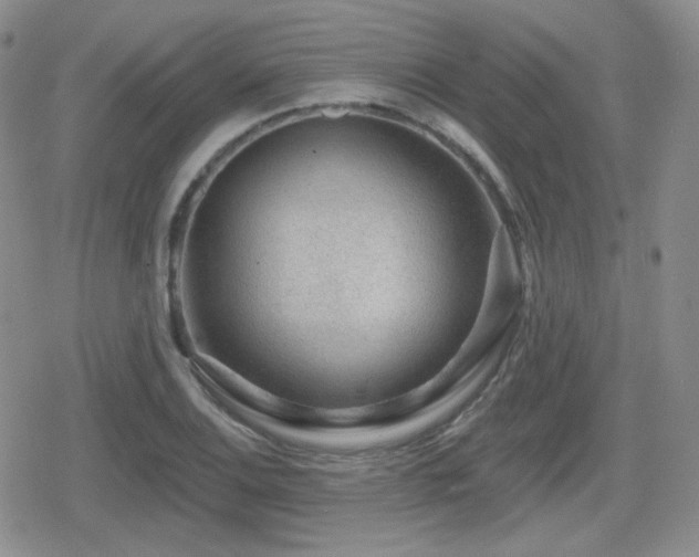 X0000080741124200612151242