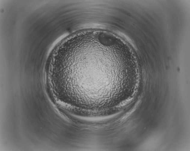 X0000080741125200612151242