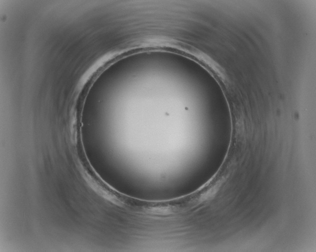 X0000080741126200612151242