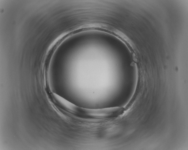X0000080741127200612151243