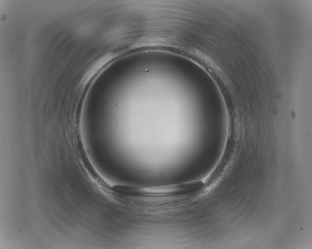 X0000080741129200612151243