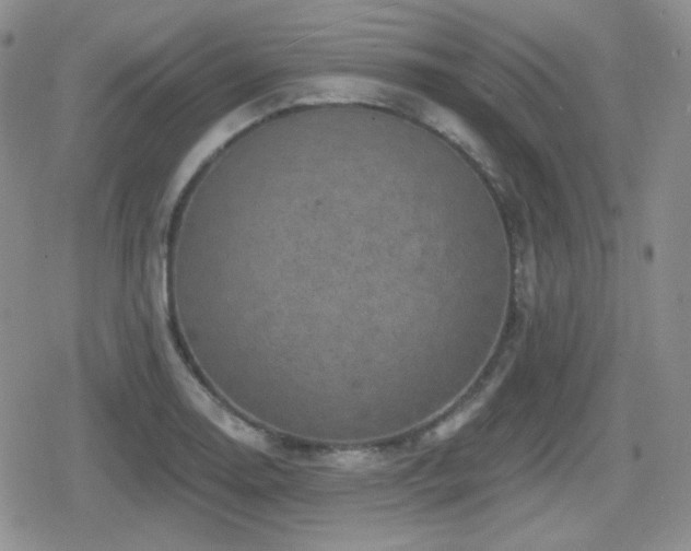 X0000080741130200612151243