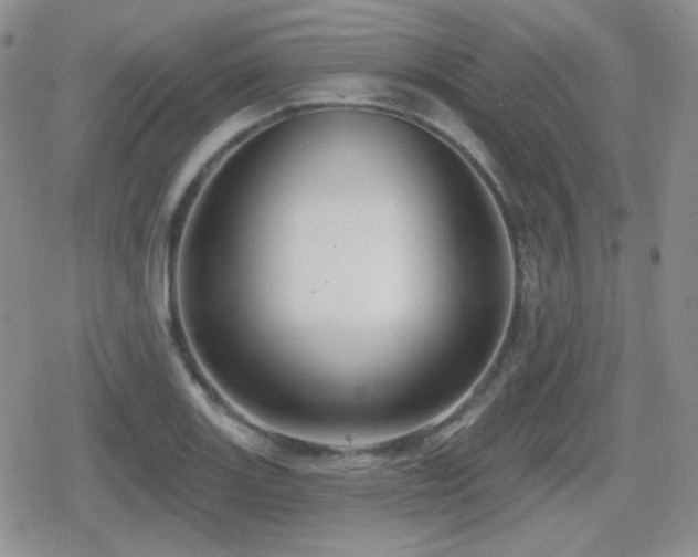 X0000080741131200612151243