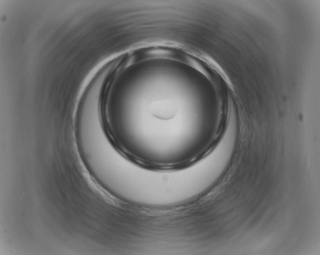 X0000080741132200612151243