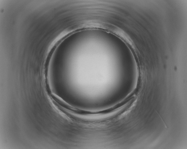 X0000080741133200612151243
