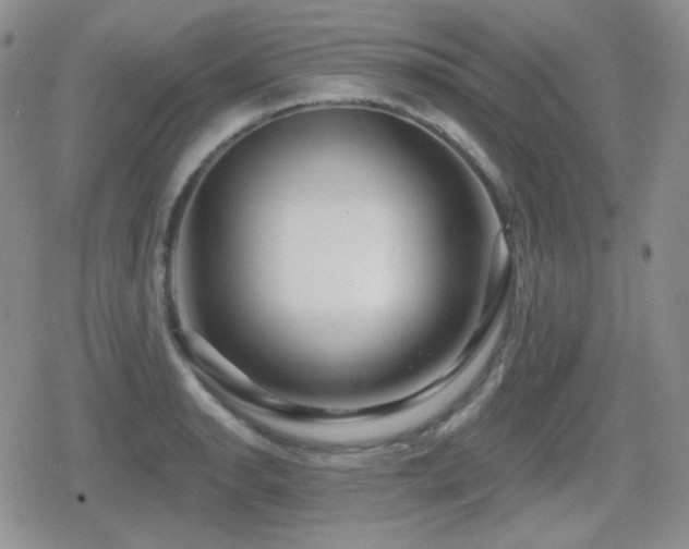 X0000080741134200612151243