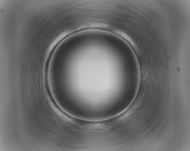 X0000080741135200612151243