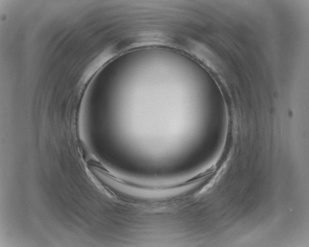 X0000080741137200612151243