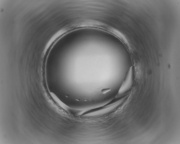 X0000080741138200612151243