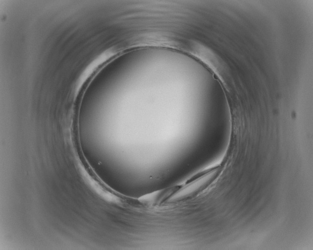 X0000080741139200612151243