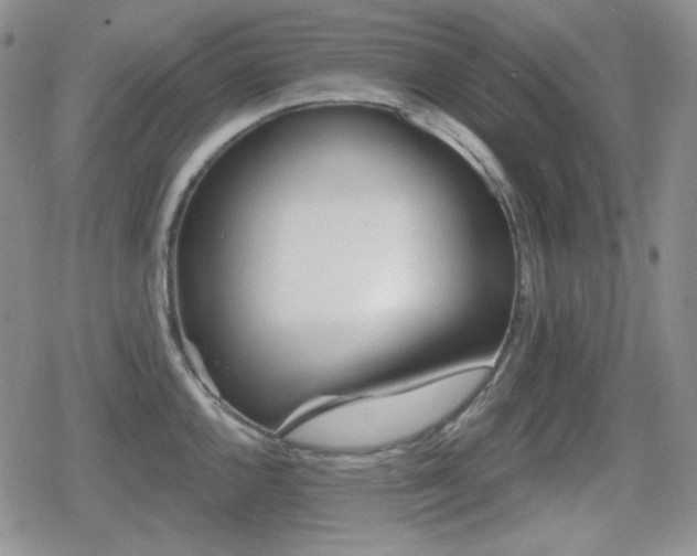 X0000080741144200612151243