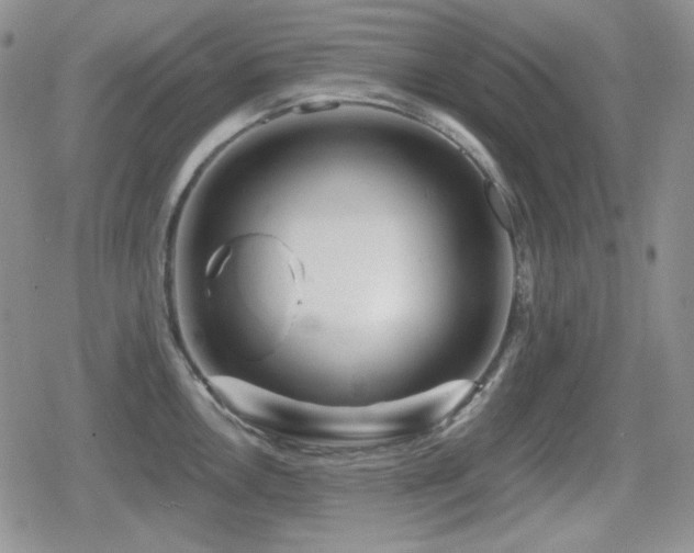 X0000080741146200612151243